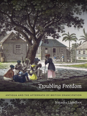 cover image of Troubling Freedom